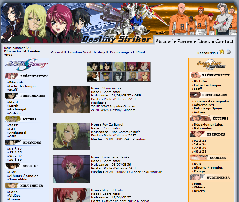 Website Destiny Striker